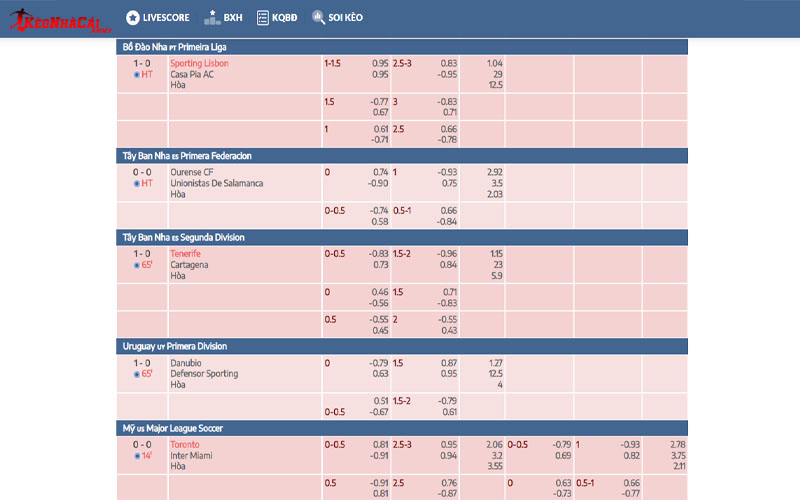 1 ve chung toi Về chúng tôi - Keonhacai.army